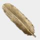 جاعودی